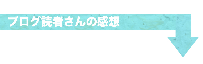 徹底検証 バストあっぷるんレビュー 特別特典